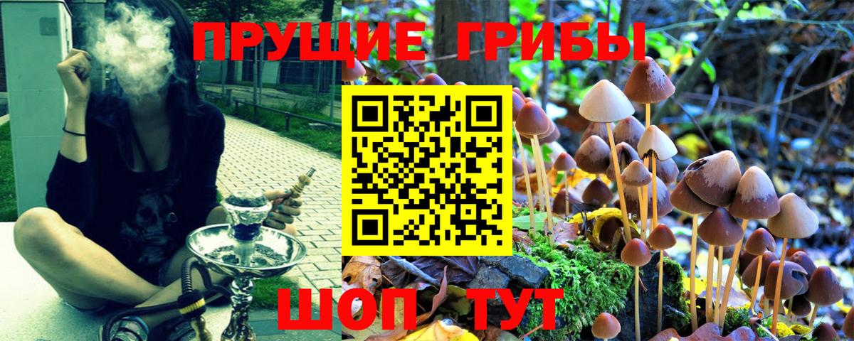 Галлюциногенные грибы ЛСД  Псилоцибиновые грибы прущие грибы  Вход с VPN  Костомукша 